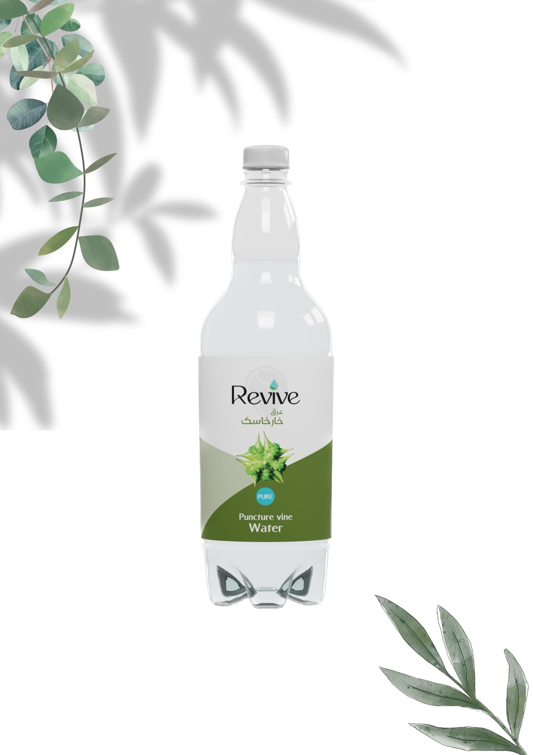 عرق خارخاسک ریوایو عرق خارخاسک پاکسازی کبد و کلیه (شرکت ریوایو)