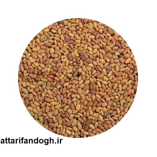 تخم یونجه تمیز خوراکی و کاشت