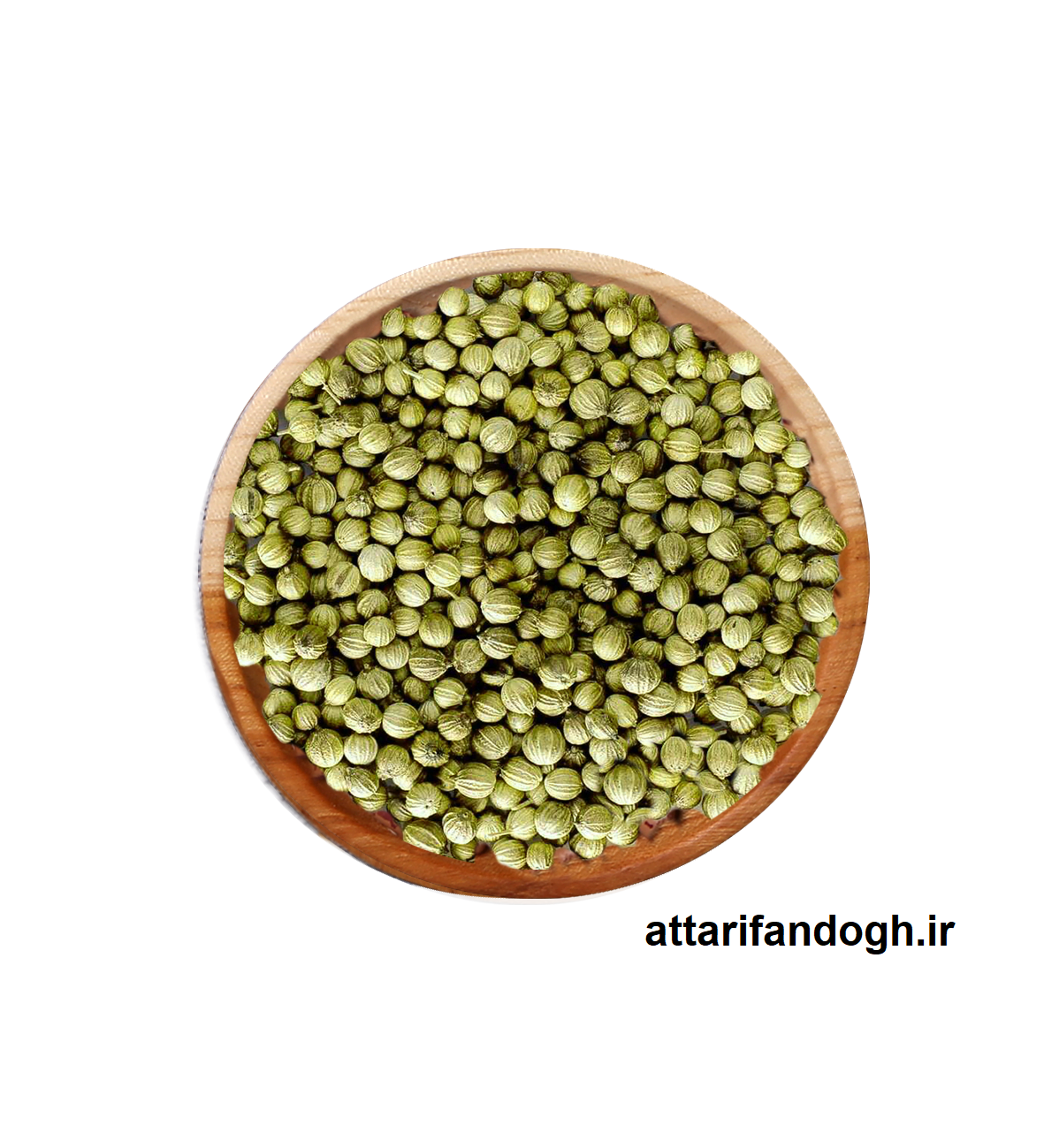 تخم گشنیز تمیز خوراکی و کاشت