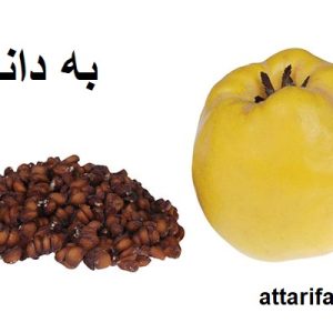تخم به (به دانه) شسته و تمیز ضد سرفه