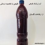 آب زرشک کوهی وحشی (ارتفاعات گستان)