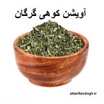 آویشن کوهی