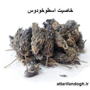خاصیت دمنوش اسطوخودوس