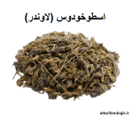 اسطوخودوس خارجی (لاوندر)