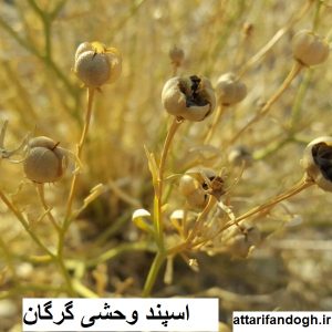 خاصیت اسپند