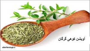 خاصیت آویشن کوهی