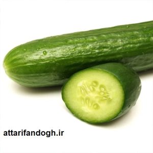 بذر خارجی خیار