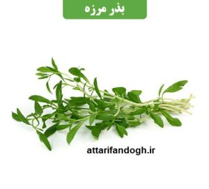 بذر مرزه (تخم مرزه) عطاری فندق گرگان