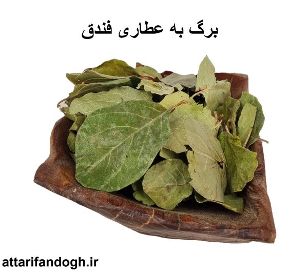 برگ به