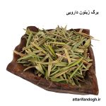 برگ زیتون