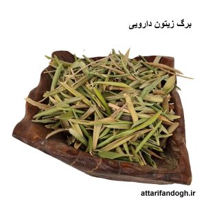 برگ زیتون
