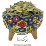 برگ سنا