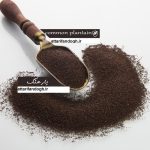 نحوه مصرف تخم بارهنگ
