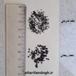 تفاوت تخم شربتی و بالنگو