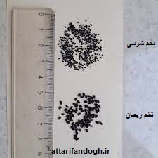 تفاوت تخم شربتی ریز و درشت