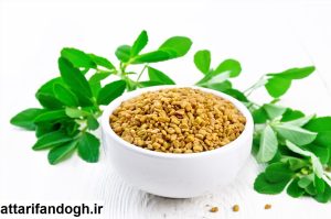 خاصیت تخم شنبلیله