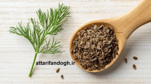 خاصیت بذر شوید