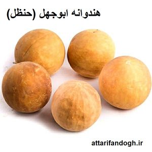 هندوانه ابوجهل (حنظل) عطاری فندق