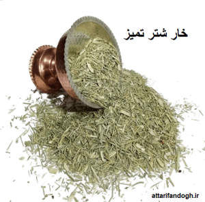 خاصیت و نحوه مصرف خارشتر برای سنگ کلیه