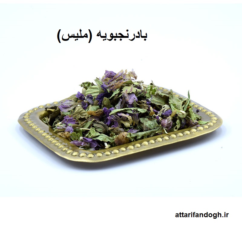 بادرنجبویه (ملیس) عطاری فندق