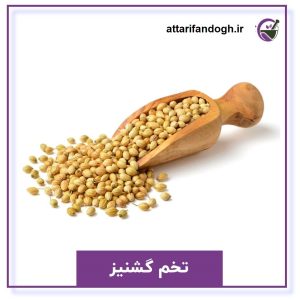 تخم گشنیز تمیز خوراکی و کاشت
