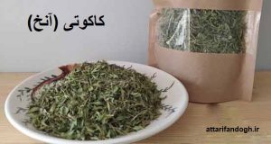 خاصیت کاکوتی