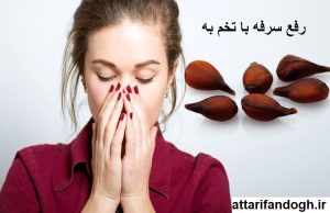 طریقه مصرف تخم به برای سرفه