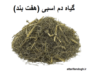 خاصیت گیاه دم اسبی و نحوه مصرف