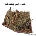 گیاه دم اسبی (هفت بند)