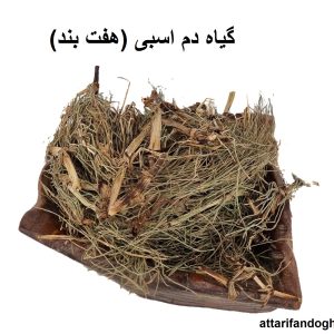 گیاه دم اسبی (هفت بند)