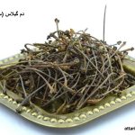 دم گیلاس