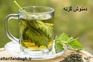 خاصیت دمنوش گزنه و بهترینزمان مصرف