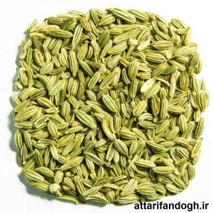 خاصیت رازیانه