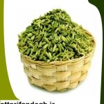 رازیانه سبز و تمیز (شیرین بادیان)