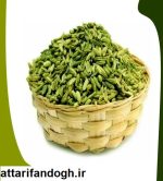 رازیانه سبز و تمیز (شیرین بادیان)