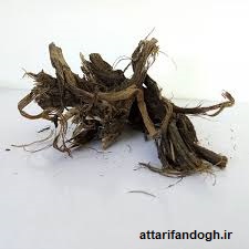 طریقه مصرف ریشه بابا آدم و بهترین زمان مصرف