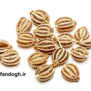 زنیان تمیز (خرده دانه، اجقون)