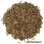 زیره سبز تمیز عطاری فندق