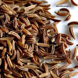 خاصیت زیره سیاه