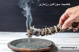 خاصیت سوزاندن رزماری