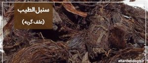 خاصیت و عوارض سنبل الطیب