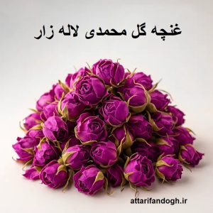خاصیت گل محمدی و روش مصرف