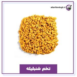 تخم شنبلیله خوراکی و کاشت