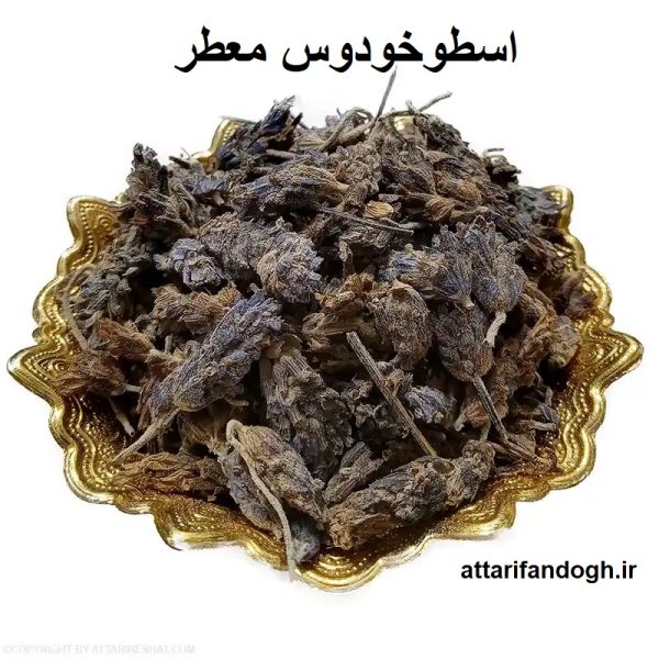 اسطوخودوس برای چی خوبه