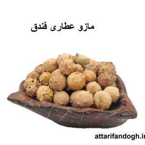 خاصیت مازو و نحوه مصرف