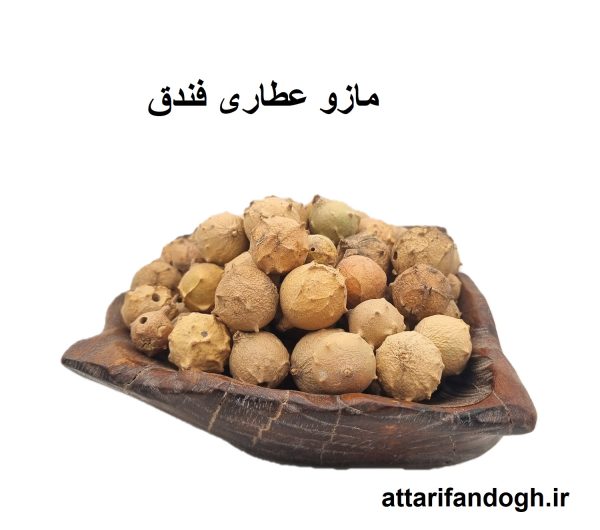 خاصیت مازو و نحوه مصرف