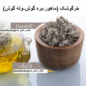 خرگوشک (ماهور، وله گوش، بره گوش)