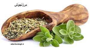 خاصیت مرزنجوش