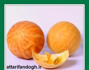 خاصیت و عوارض هندوانه ابوجهل (حنظل) 