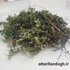 خاصیت گیاه پرسیاوش